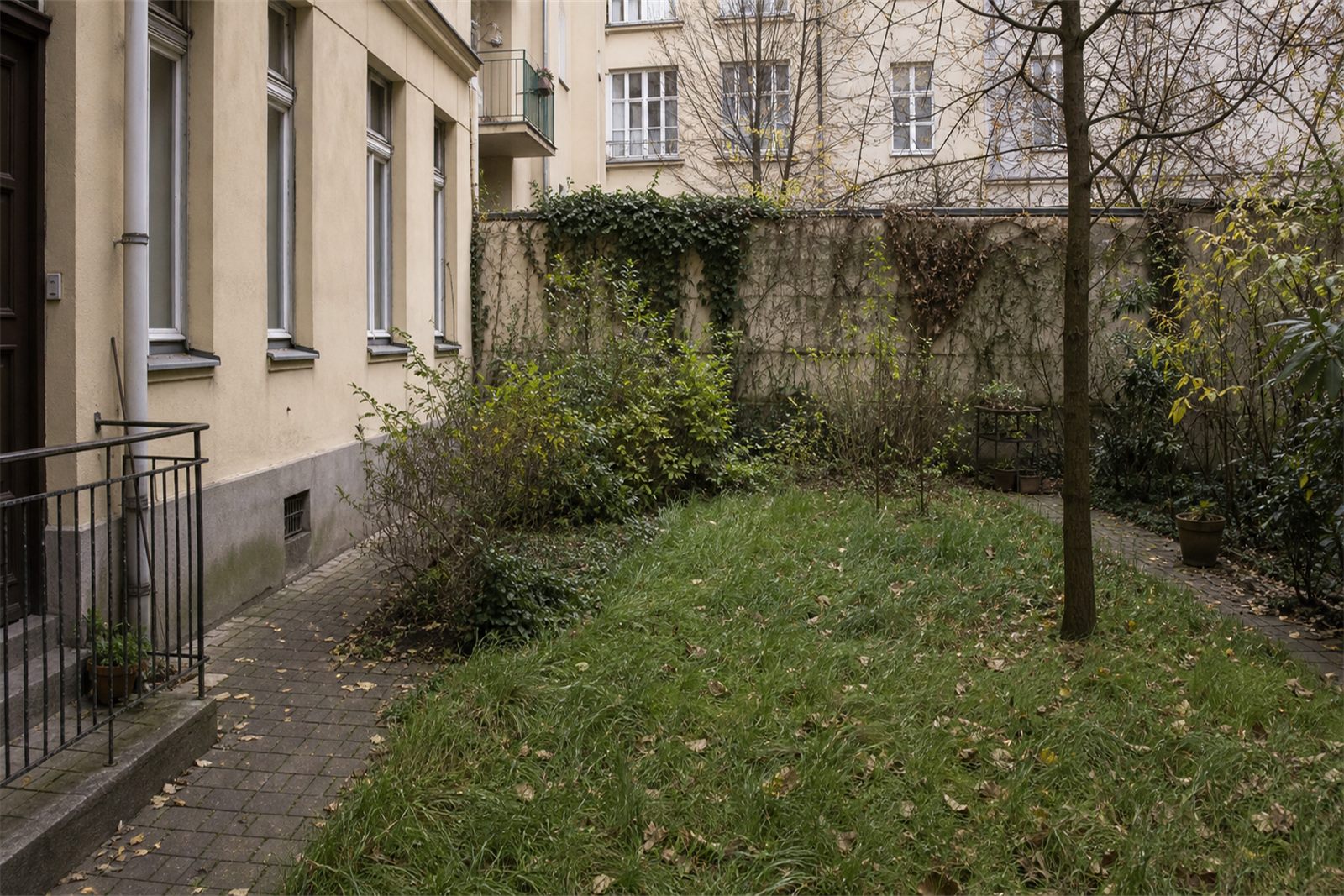 Verwilderter Innenhof in Sopron vor der Gartenpflege