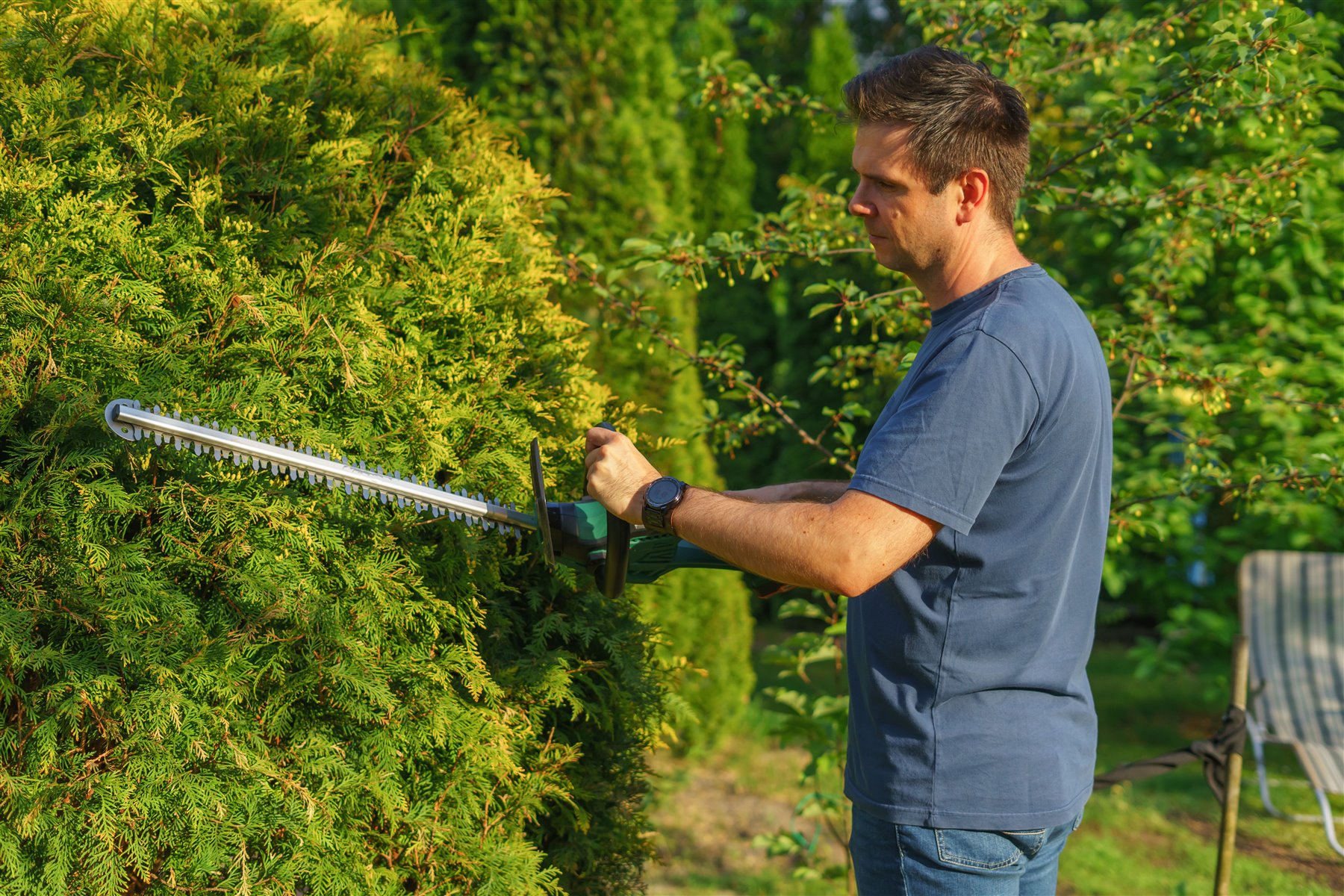 Gärtner schneidet eine Hecke in einem privaten Wohngarten